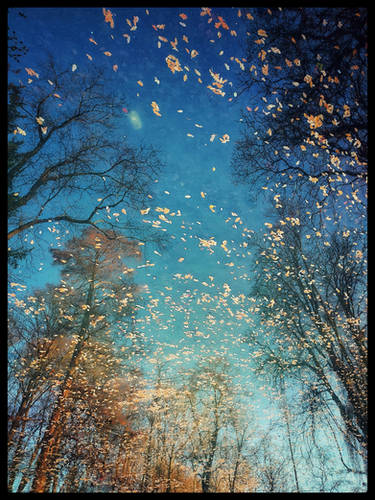 Before Everything Falls