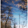 skin of water