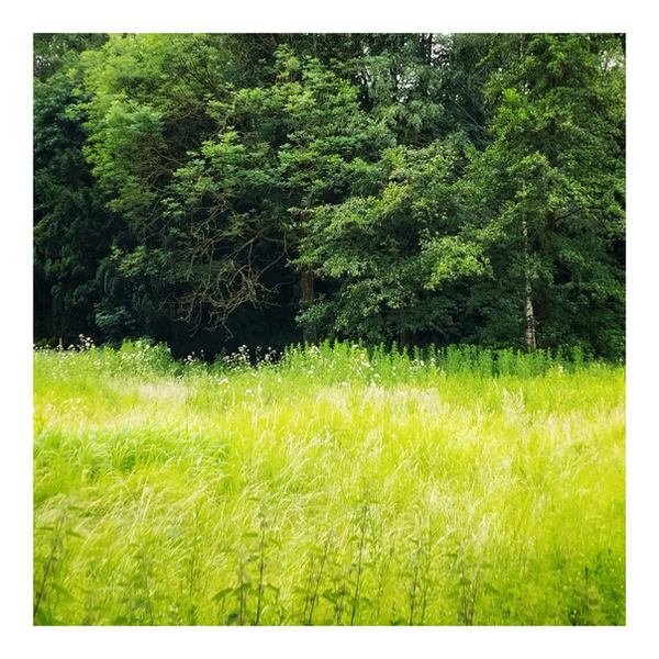 Tendre Prairie