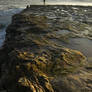 Paddling Out, Santa Cruz, CA