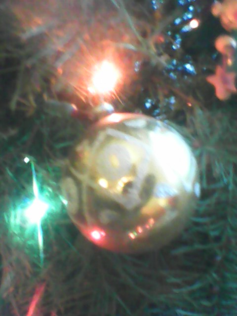 Ornament 3