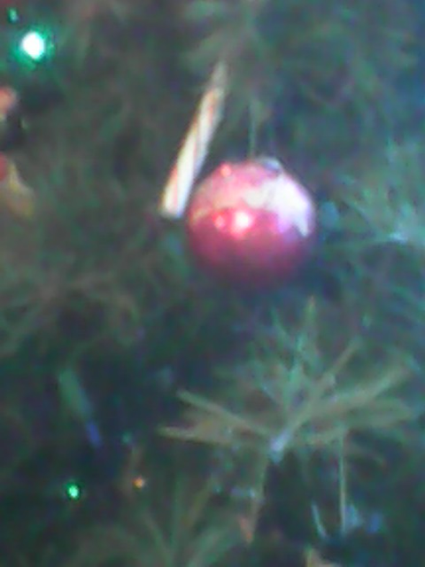 Ornament 4