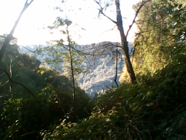 Mountains Through Trees