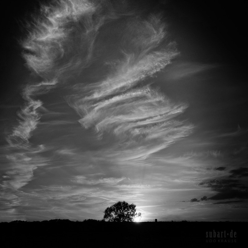 SUBART-LANDSCHAFT-INFRARED-055