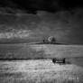 SUBART-LANDSCHAFT-IR-064