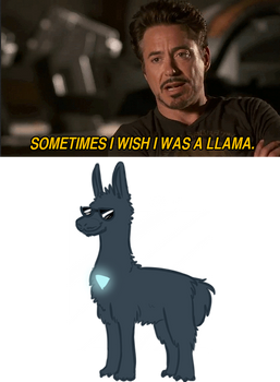 Sometimes I wish I was a llama