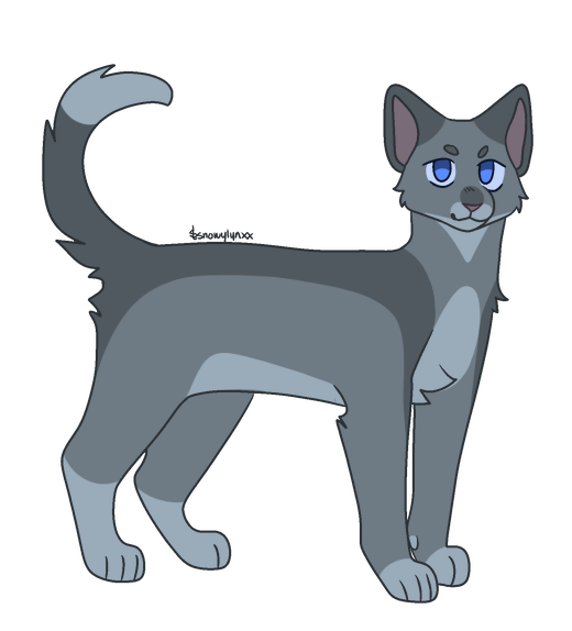 Stormtail Warrior cats designs: stormtail by hazledusk on DeviantArt