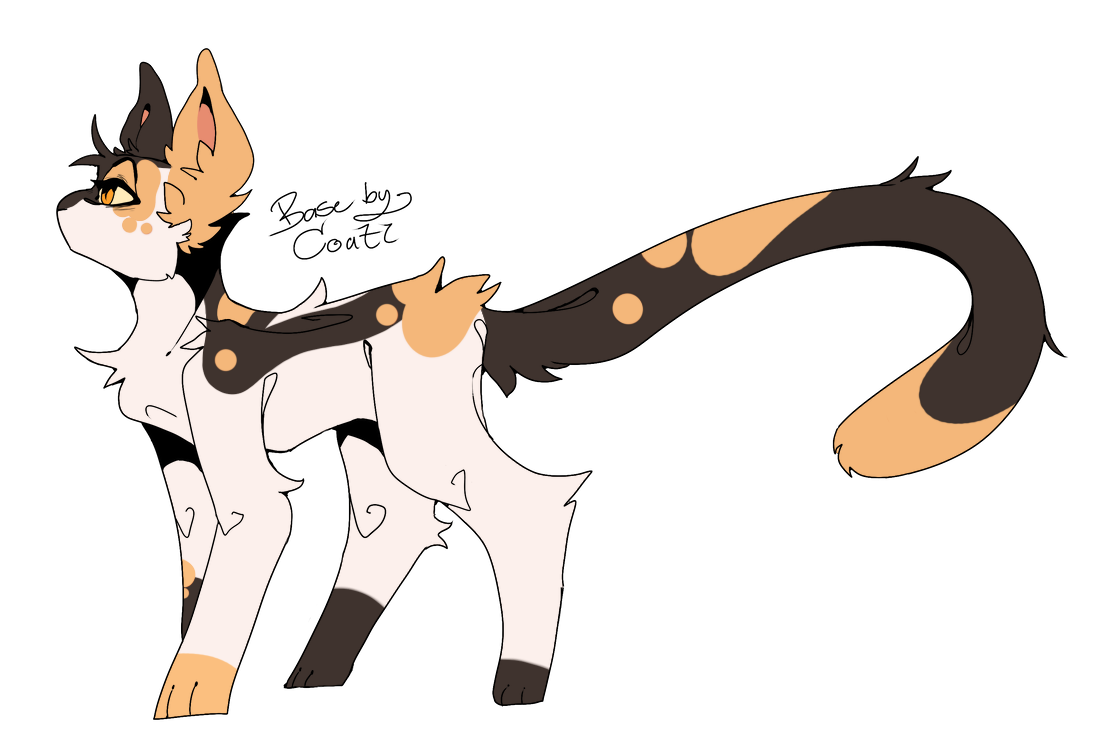 Sorelltail Warrior cats designs: sorreltail by hazledusk on DeviantArt