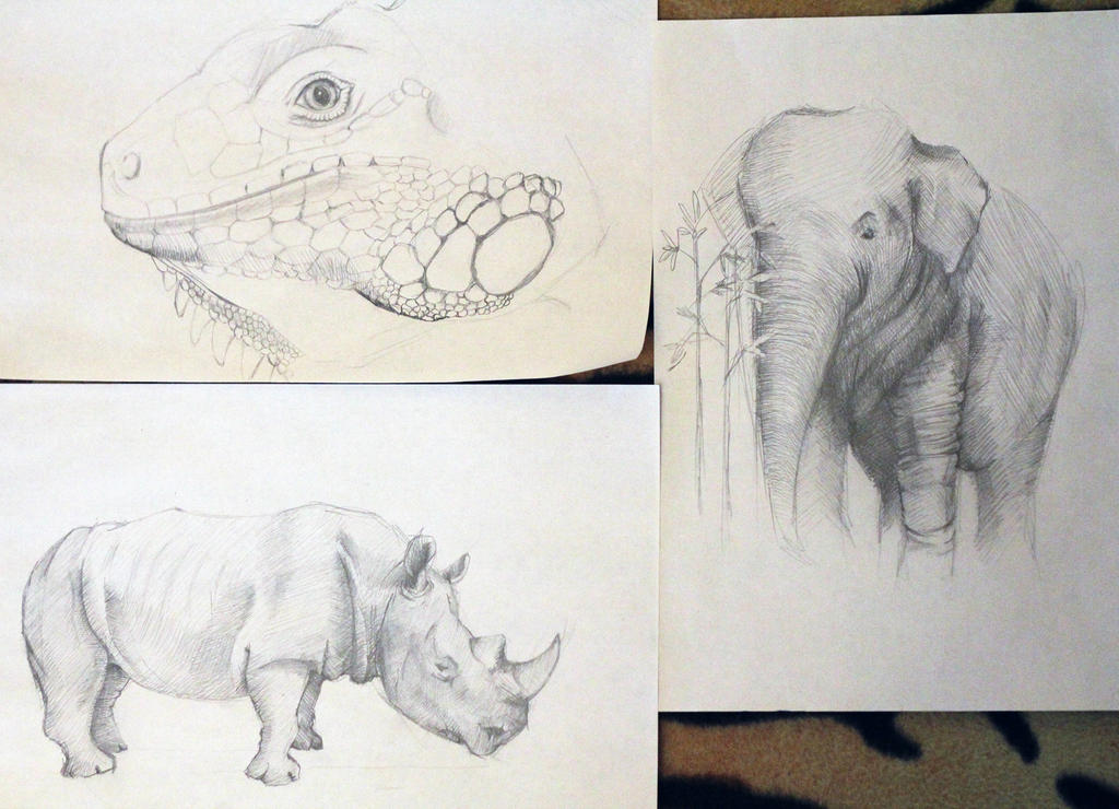 sketches of animals