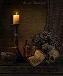 Still life by sonjagatetodreamsart