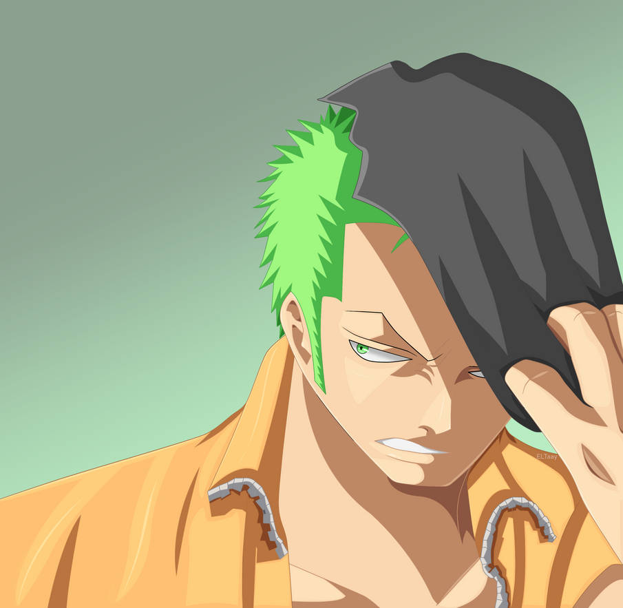 Roronoa Zoro One Piece 418 By Eltaay On Deviantart Roronoa Zoro One Piece 418 By Eltaay On Deviantart