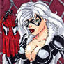 Black Cat Sketch Card