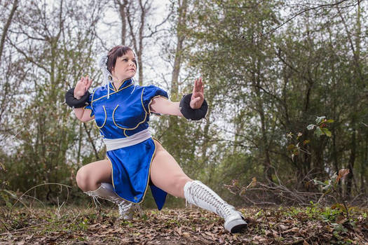 Chun Li - Street Fighter II