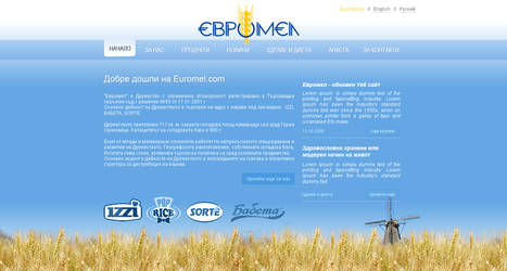 Euromel Web Design