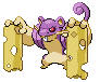 Top Percentage Rattata