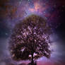 Yggdrasil, The World Tree