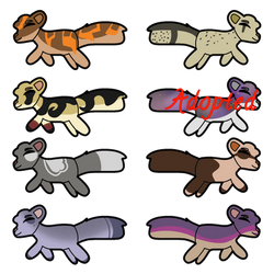 20 point adoptables