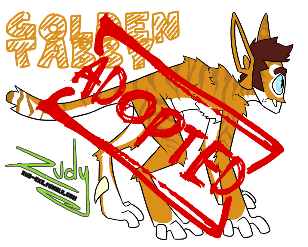 Golden Tabby Special Adopt - ADOPTED