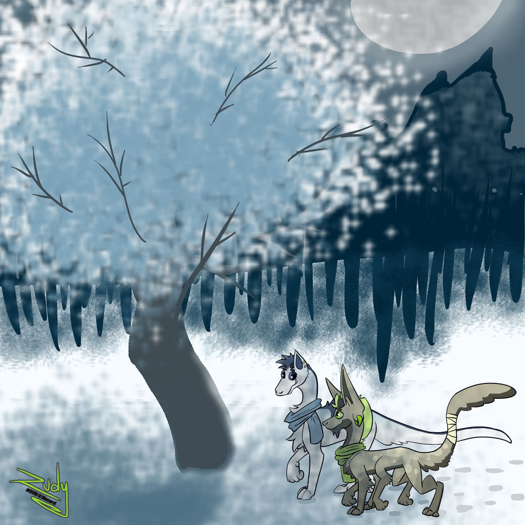 Winter night walk