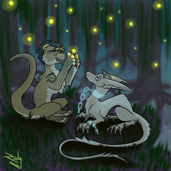 Catching Fireflies