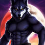 Drago-The Werewolf