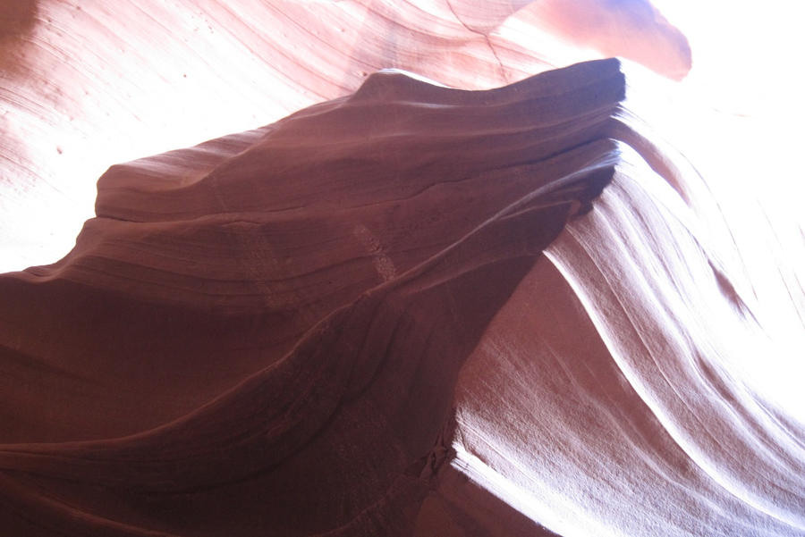 Desert - Antelope Canyon, Coyote