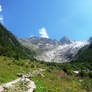 SWITZERLAND - Glacier Trient