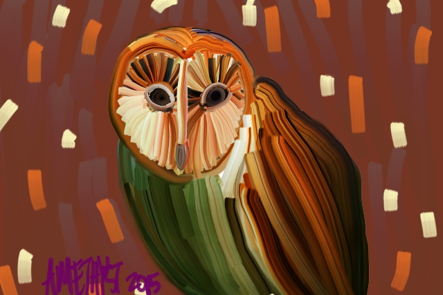 Barn Owl Abstract