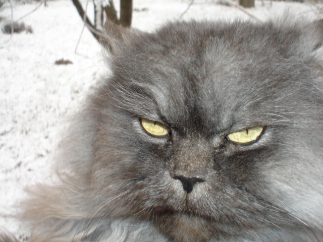 Luca winter by badralbudur on DeviantArt