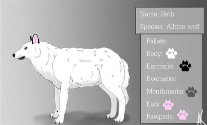 Seth's refsheet 2013