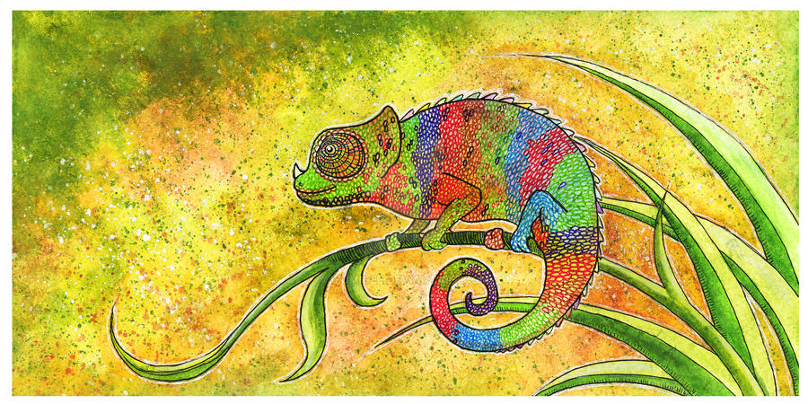 Chameleon