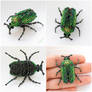 Green beetle