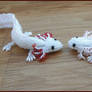 Axolotls