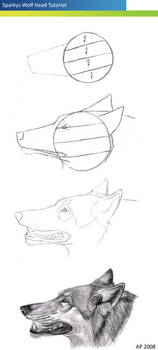 Wolf Head Tutorial