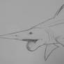 helicoprion