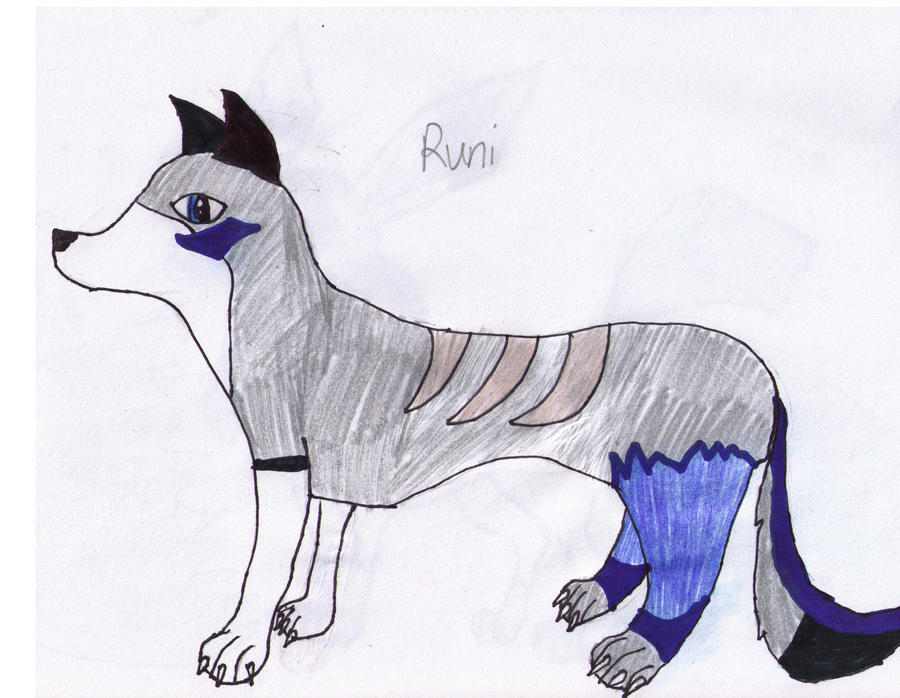 Runi Bio by funturtle7 on DeviantArt