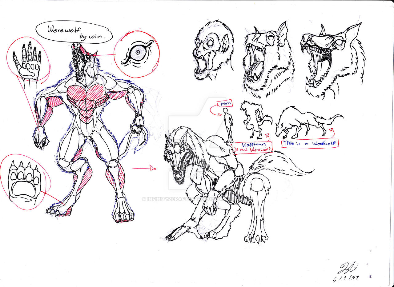 Werewolf Rectnum Werewolf Reference by InfinityZCraftArt780 on DeviantArt