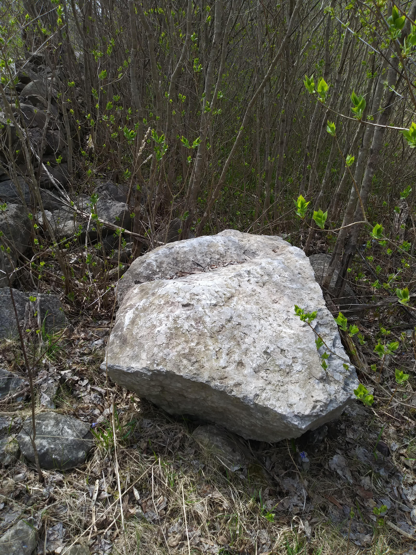 Gray Rocm Grey White Rock by Marcellus1177 on DeviantArt