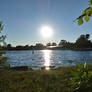 Sunset Shimmer Through Lake