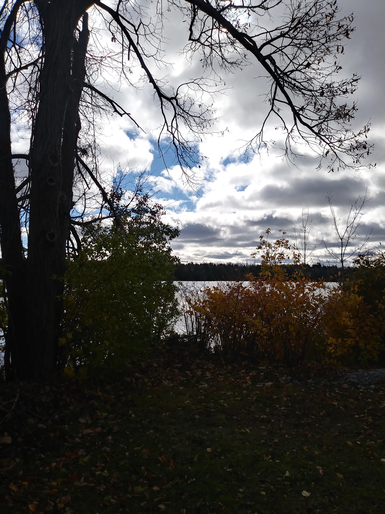 Fall Darkness The Dark of Fall by Marcellus1177 on DeviantArt