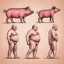 Man Pig Evolution 6