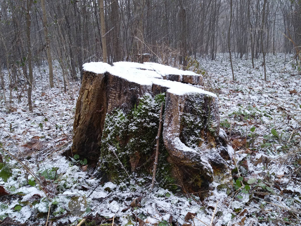 Stumpy Friends 2 by Marcellus1177 on DeviantArt