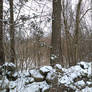 Snowy Stones Wooded Area 3