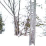 White Winter - Blurred lens effect