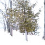 White Winter - Blurred lens effect 3