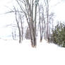 White Winter Blurred lens effect 4