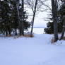 Snow Covered Lakeside
