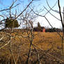 Red Barn At A Distance