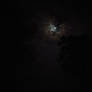 Distant Moon 3