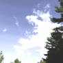 Blue Sky n Clouds Above Trees 3